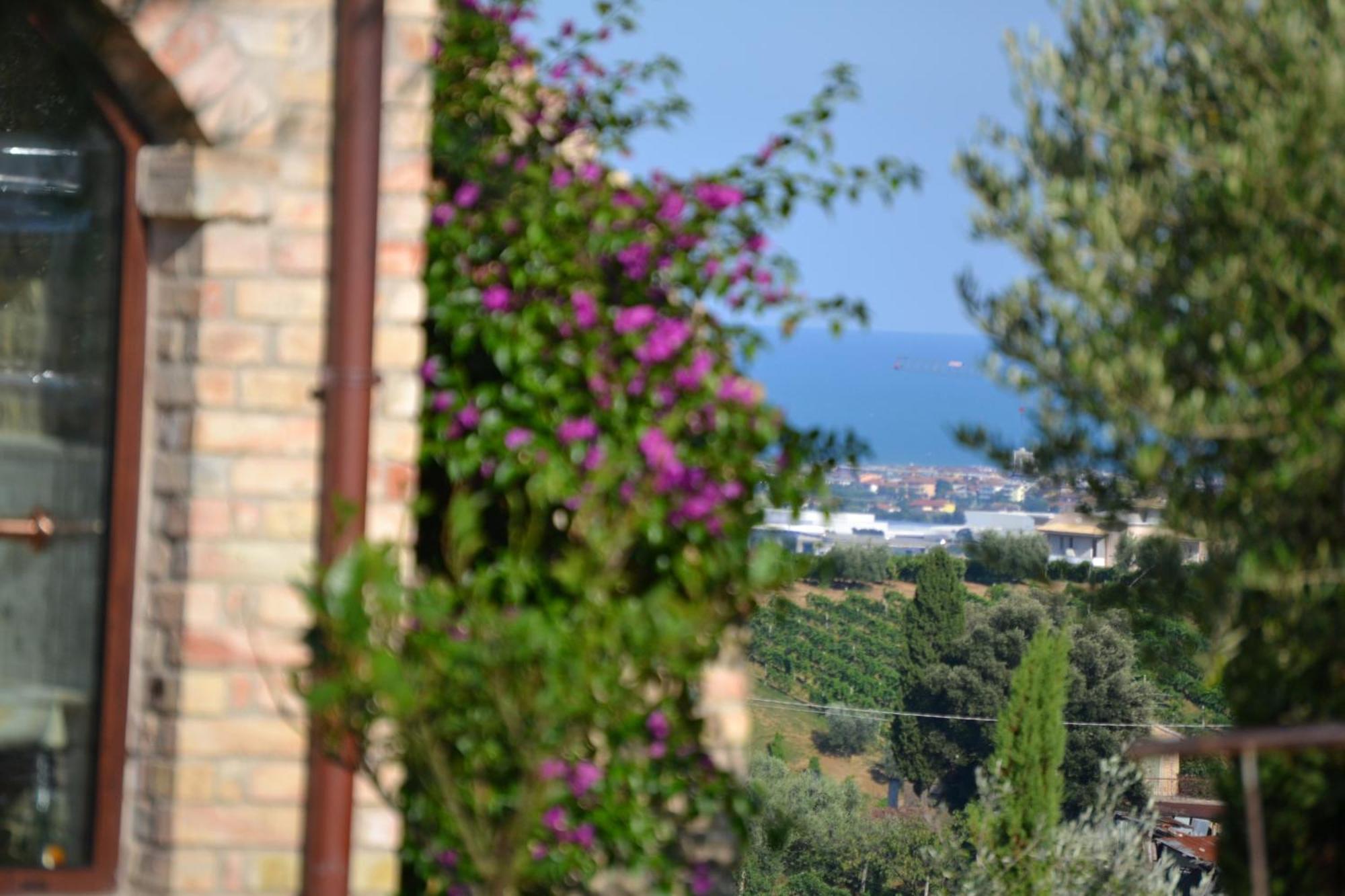Agriturismo Il Sapore Della Luna Monteprandone Eksteriør bilde