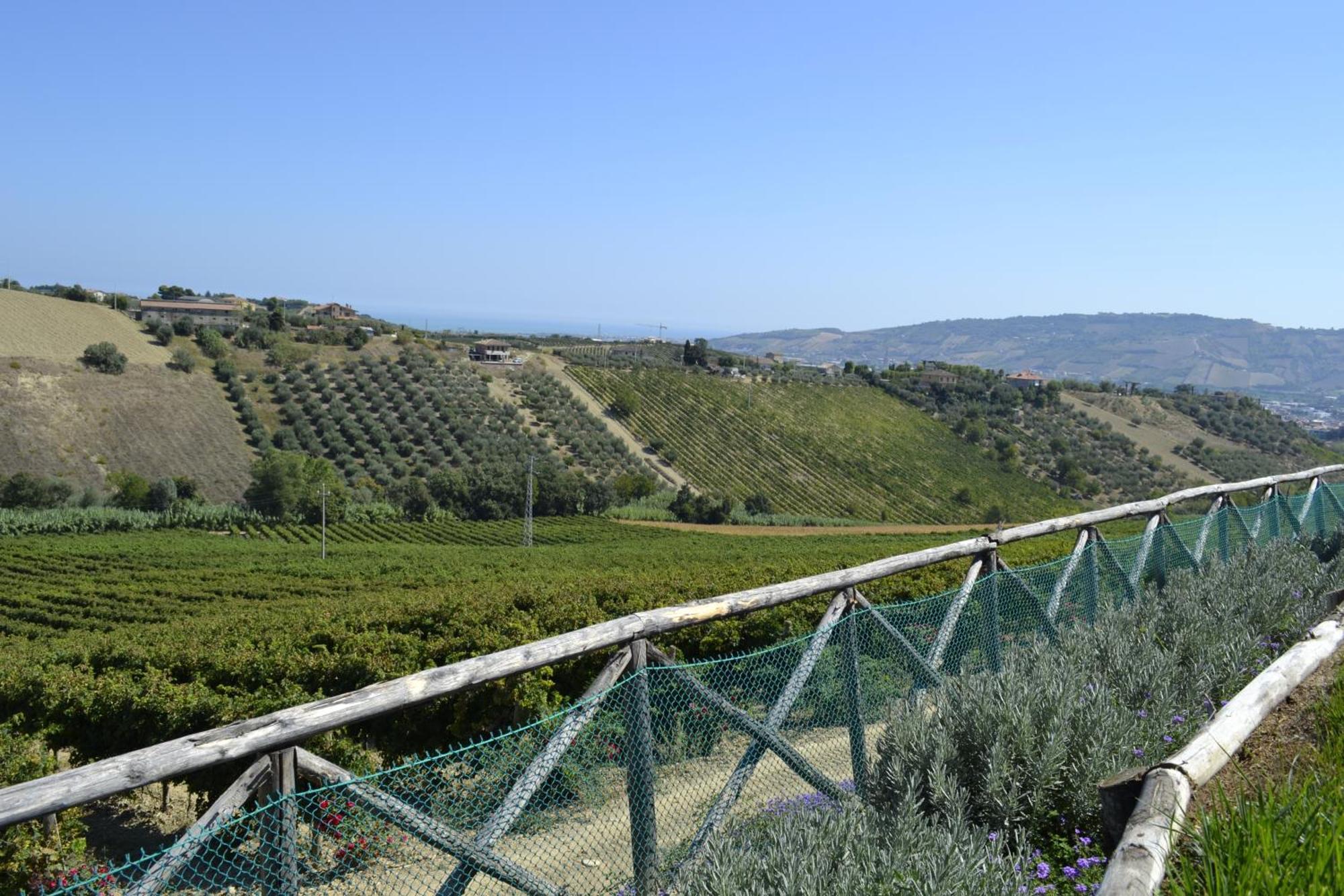 Agriturismo Il Sapore Della Luna Monteprandone Eksteriør bilde