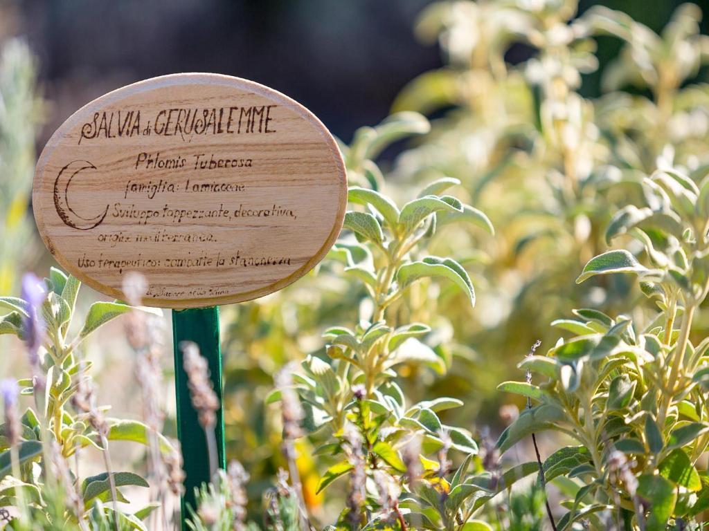 Agriturismo Il Sapore Della Luna Monteprandone Eksteriør bilde